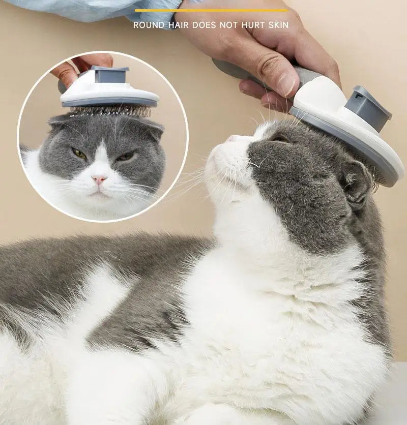 One-Click Pet Dog Hair Removal